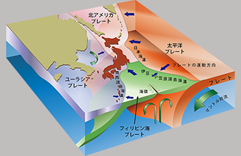 地震動評価